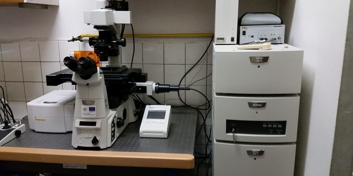 Konfokálny mikroskop Nikon Ti Eclipse A1R+